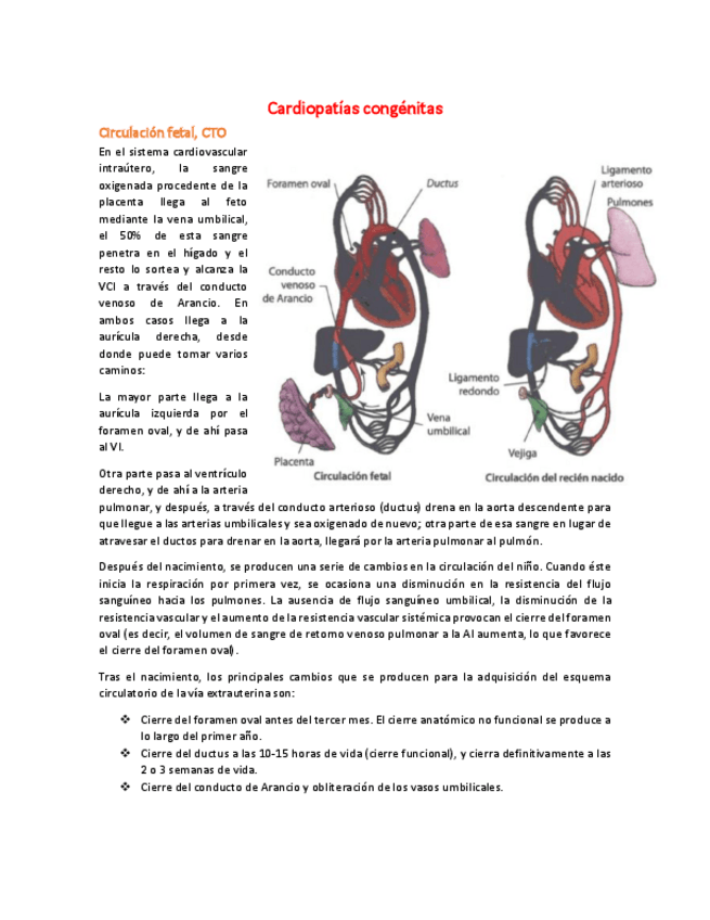 Miniatura del documento 32-Cardiopatias-congenitas.pdf