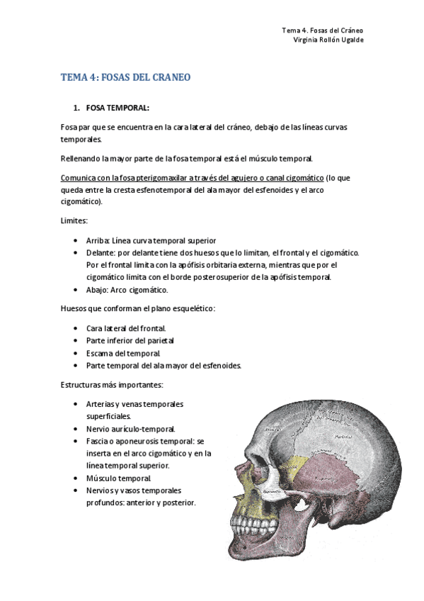 Miniatura del documento TEMA 4. FOSAS CRANEALES.pdf