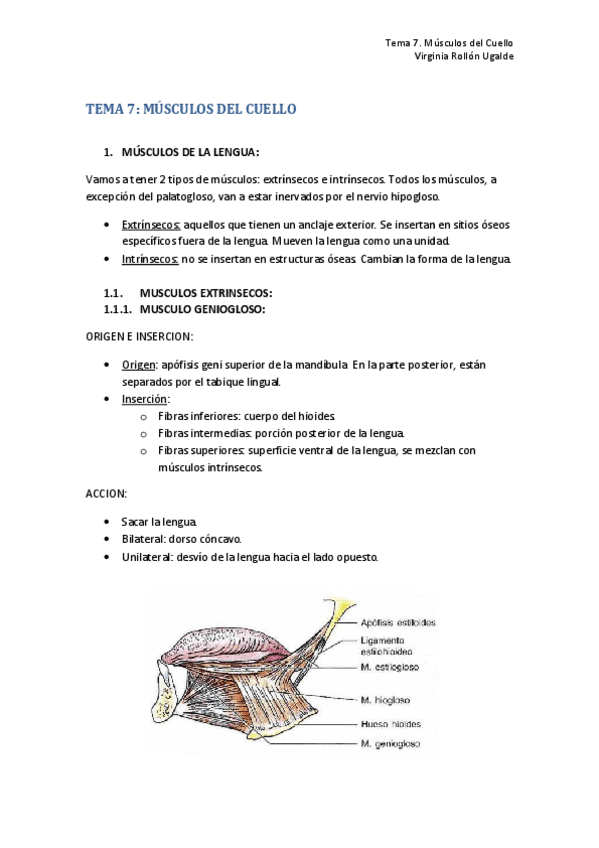 Miniatura del documento TEMA 7. MUSCULOS DEL CUELLO.pdf