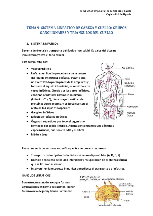 Miniatura del documento TEMA 9. SISTEMA LINFATICO DE CABEZA Y CUELLO.pdf