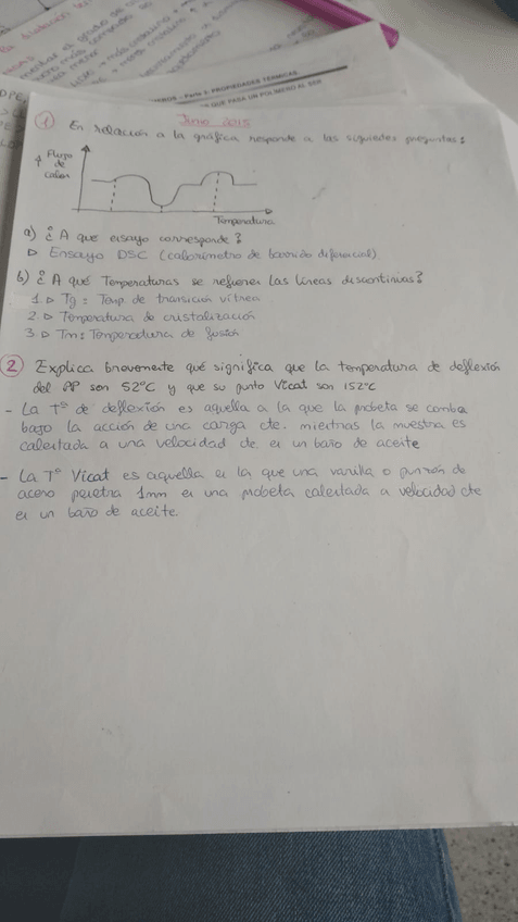 Miniatura del documento WhatsApp-Image-2019-05-13-at-16.jpg