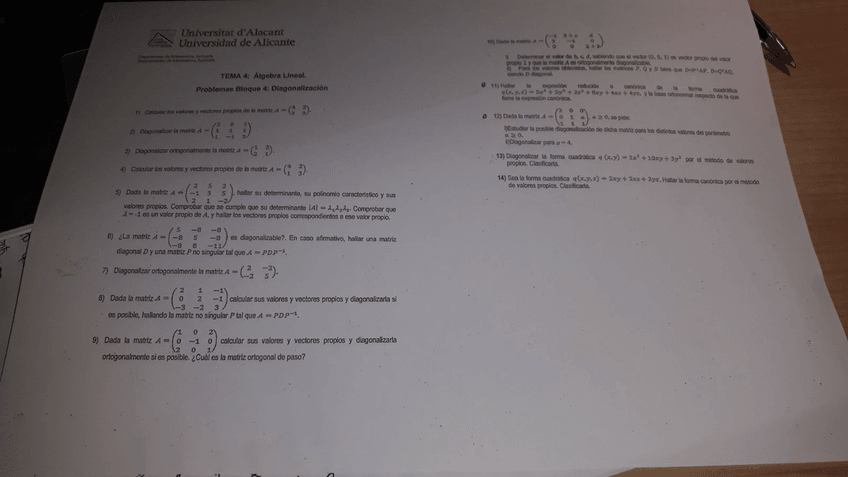 Miniatura del documento WhatsApp-Image-2018-01-02-at-17.jpg