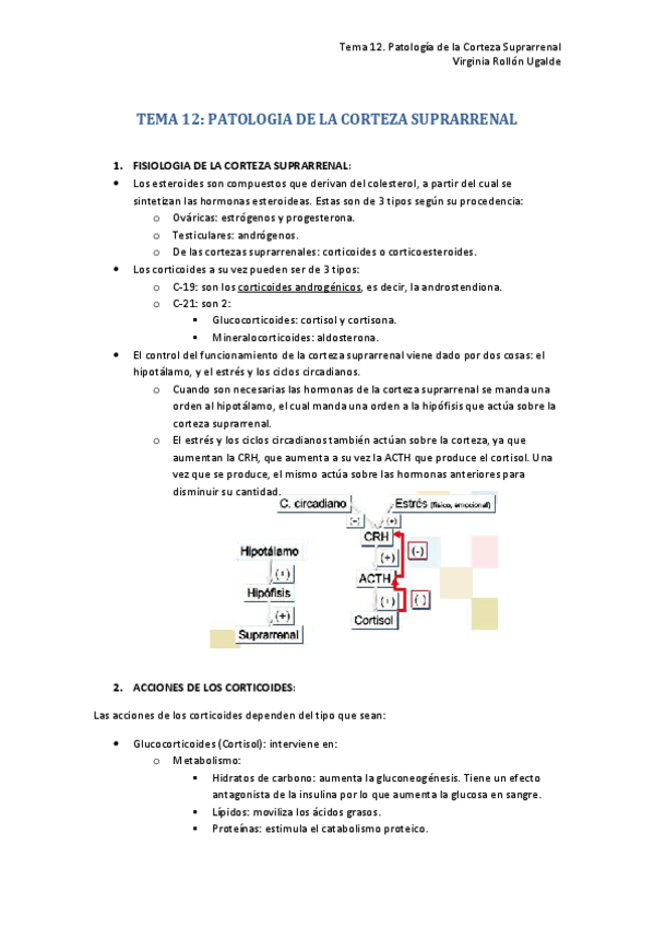 Miniatura del documento 12. PATOLOGIA DE LA CORTEZA SUPRARRENAL.pdf