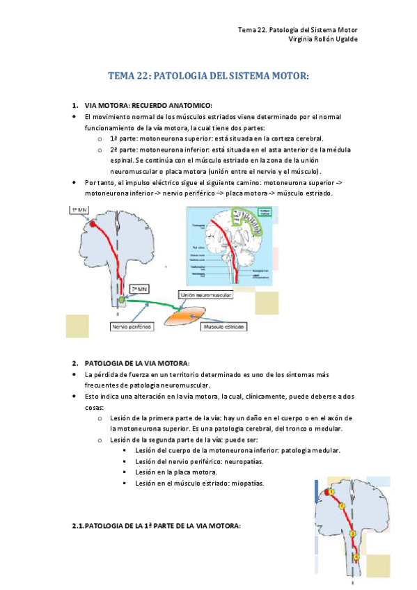 Miniatura del documento 22. PATOLOGIA DEL SISTEMA MOTOR.pdf
