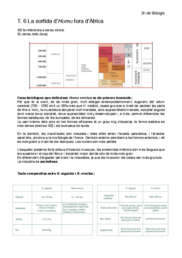 Miniatura del documento T6-Lhomo-fora-dAfrica.pdf