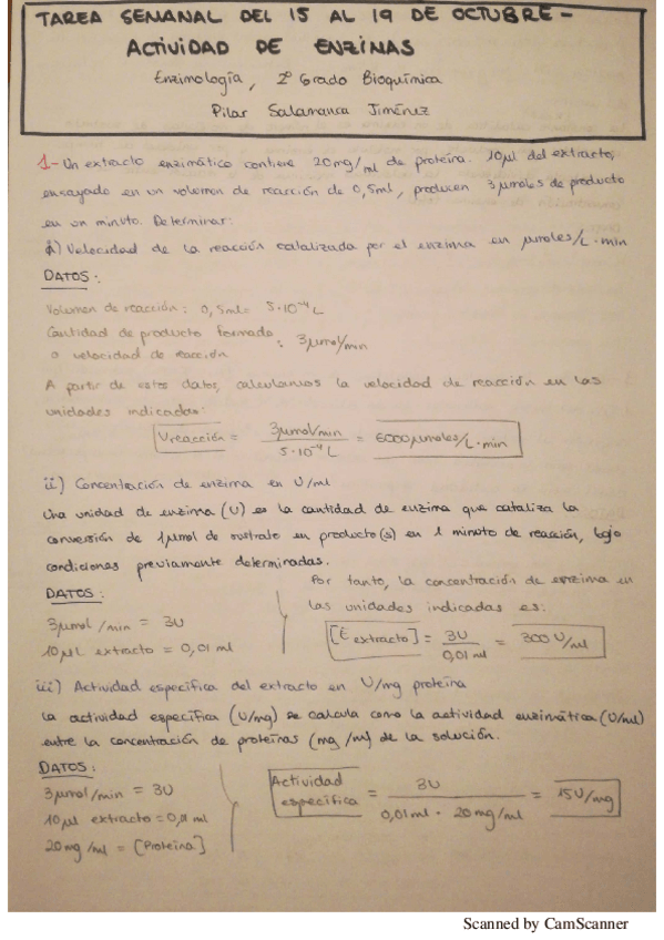 Miniatura del documento PilarSalamancaJimenezTareaSemanal5.pdf