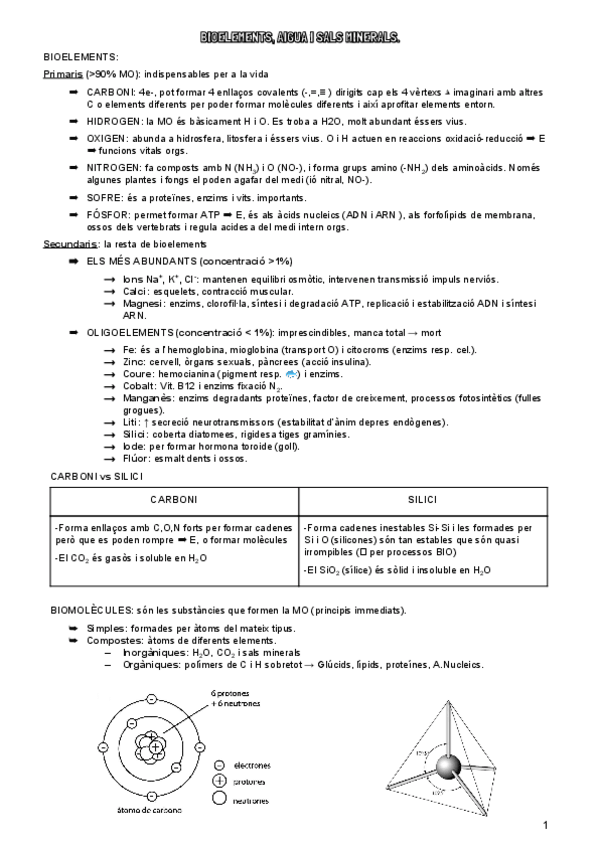 Miniatura del documento BIOLOGIA.pdf