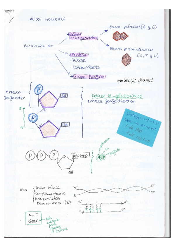 Miniatura del documento tema-ADN.pdf