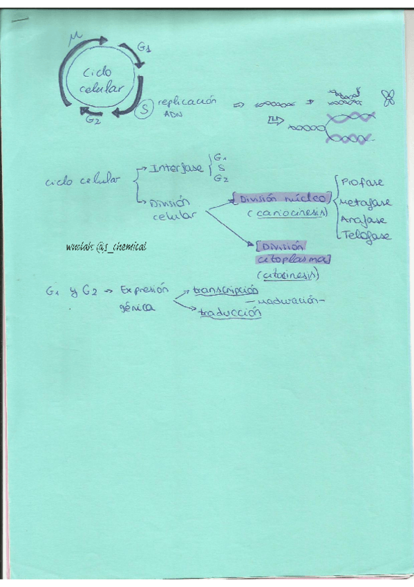 Miniatura del documento tema-CICLO-CELULAR.pdf