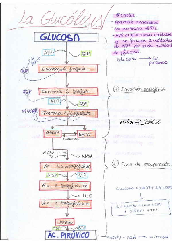 Miniatura del documento bioquimica.pdf