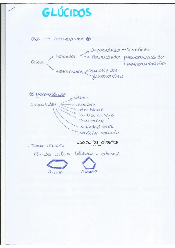 Miniatura del documento tema-GLUCIDOS.pdf
