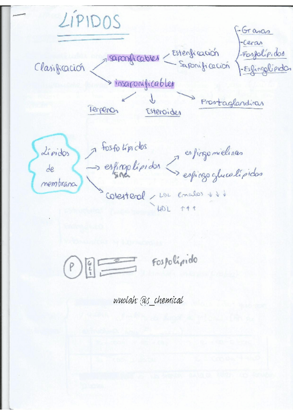 Miniatura del documento tema-LOS-LIPIDOS.pdf