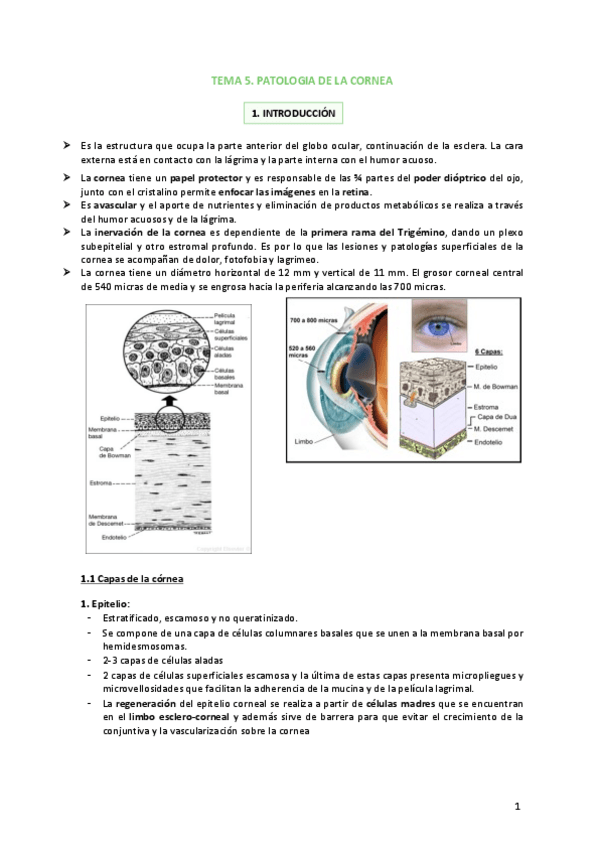 Miniatura del documento Tema-5-Patologia-de-la-cornea.pdf