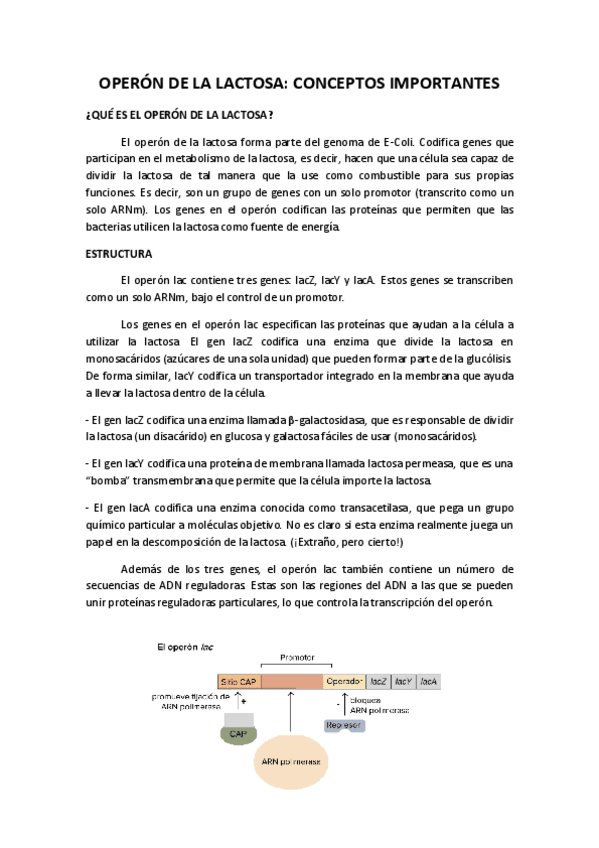 Miniatura del documento OPERON-DE-LA-LACTOSA.pdf