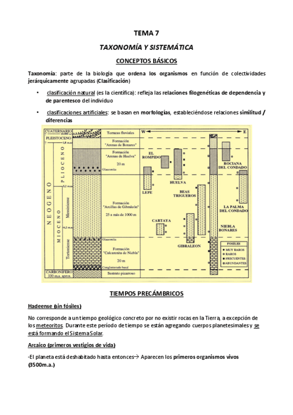 Miniatura del documento Resumen-Tema-7.pdf