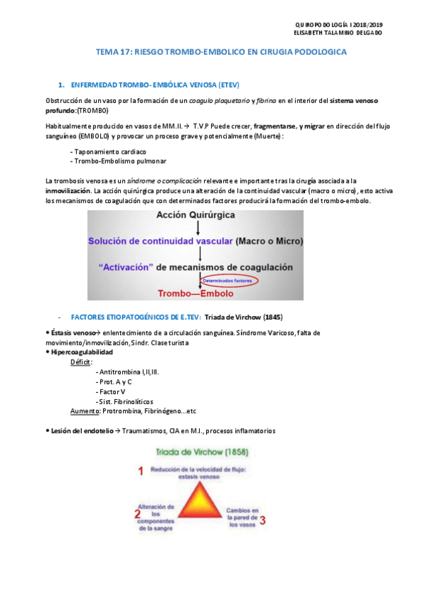 Miniatura del documento T17-RIESGO-TROMBO-EMBOLICO-EN-CIRUGIA-PODOLOGICA.pdf