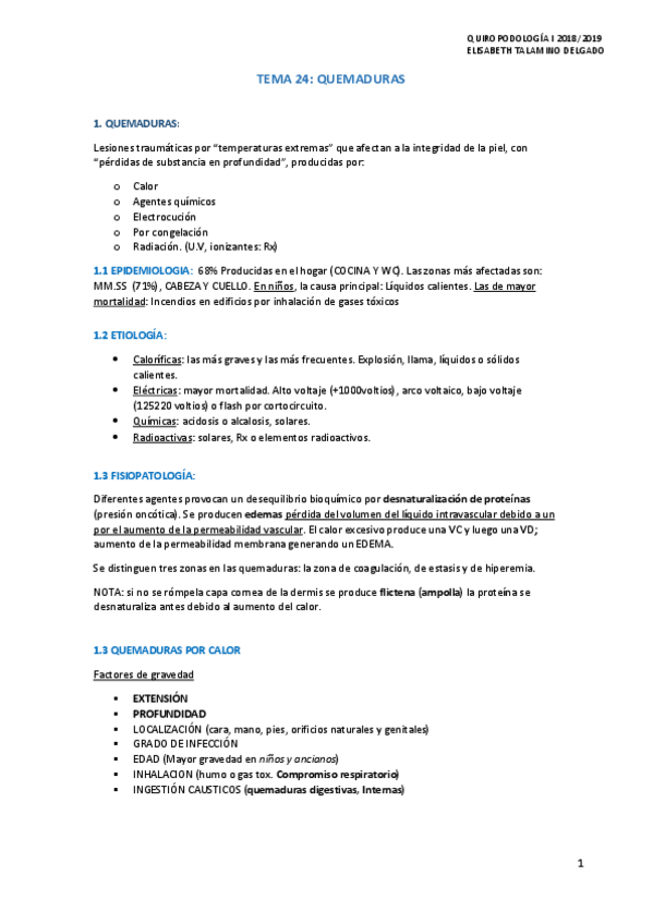 Miniatura del documento T24-QUEMADURAS.pdf