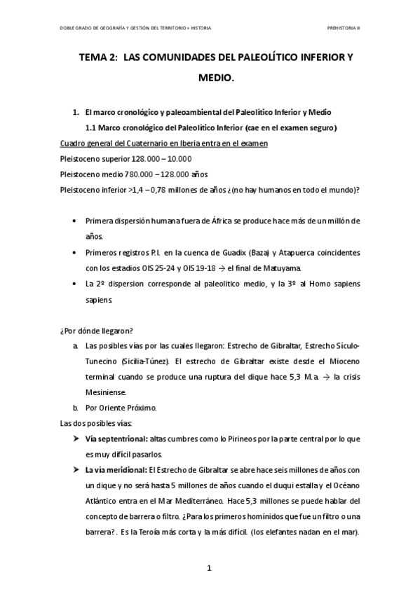 Miniatura del documento TEMA-2-LAS-COMUNIDADES-DEL-PALEOLITICO-INFERIOR-Y-MEDIO.pdf
