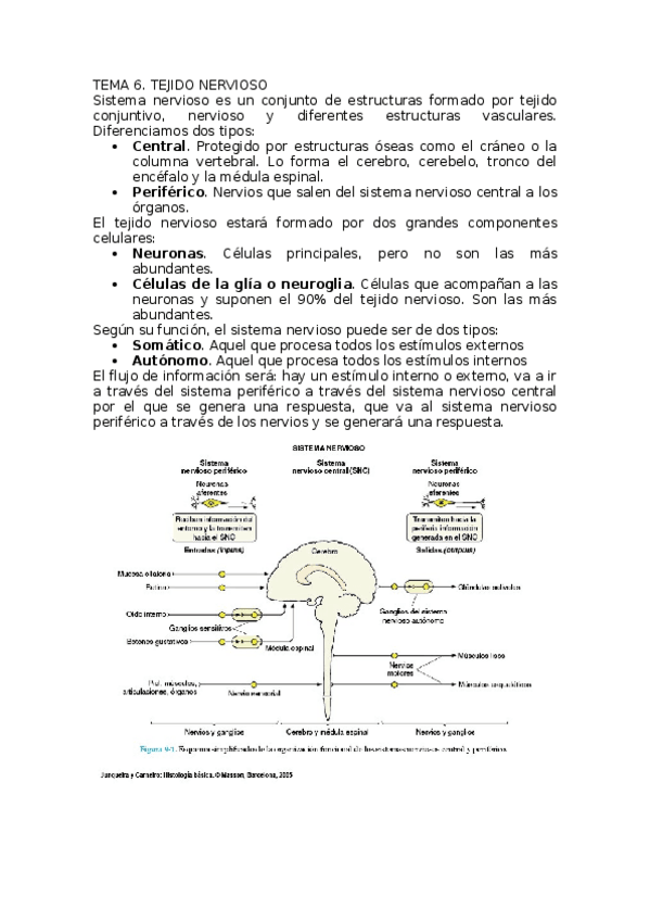 Miniatura del documento TEMA-6.docx