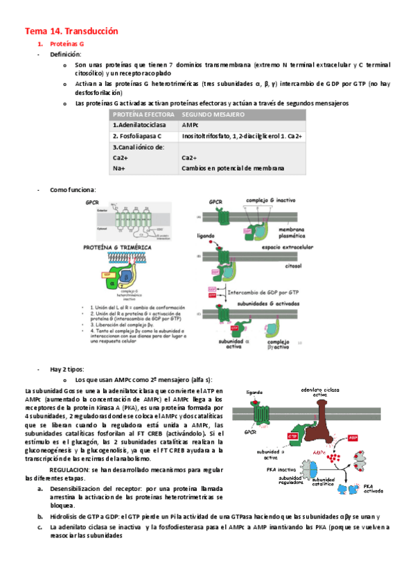 Miniatura del documento Preguntas de desarrollo bq (2 parcial).pdf
