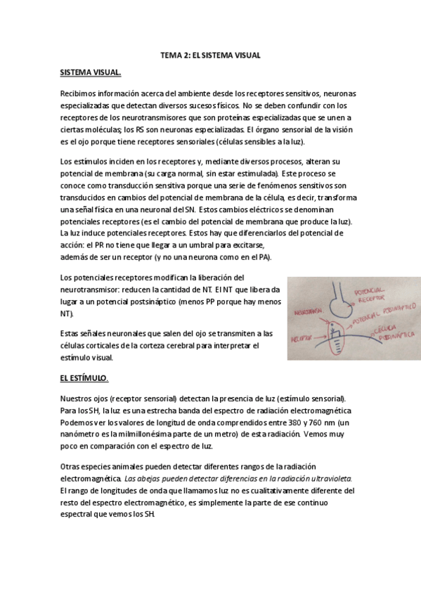 Miniatura del documento tema-2-psicologia-fisiologica.pdf