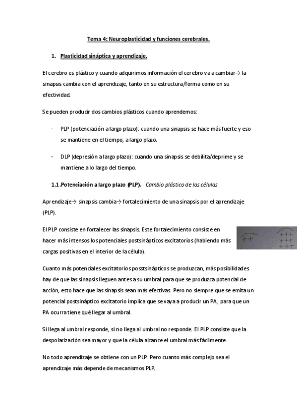 Miniatura del documento tema-4-psicologia-fisiologica.pdf
