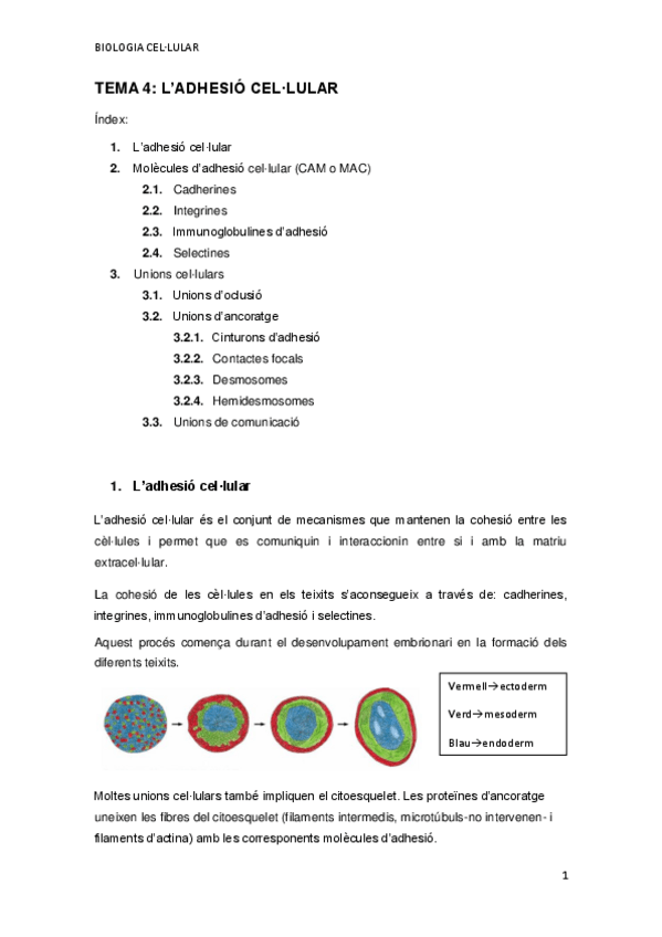 Miniatura del documento TEMA-4.pdf