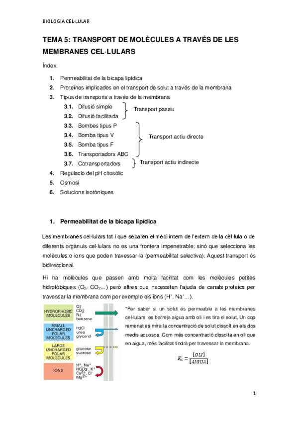 Miniatura del documento TEMA-5.pdf