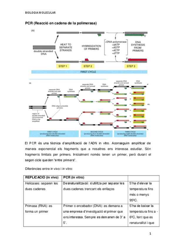 Miniatura del documento Practica-PCR.pdf