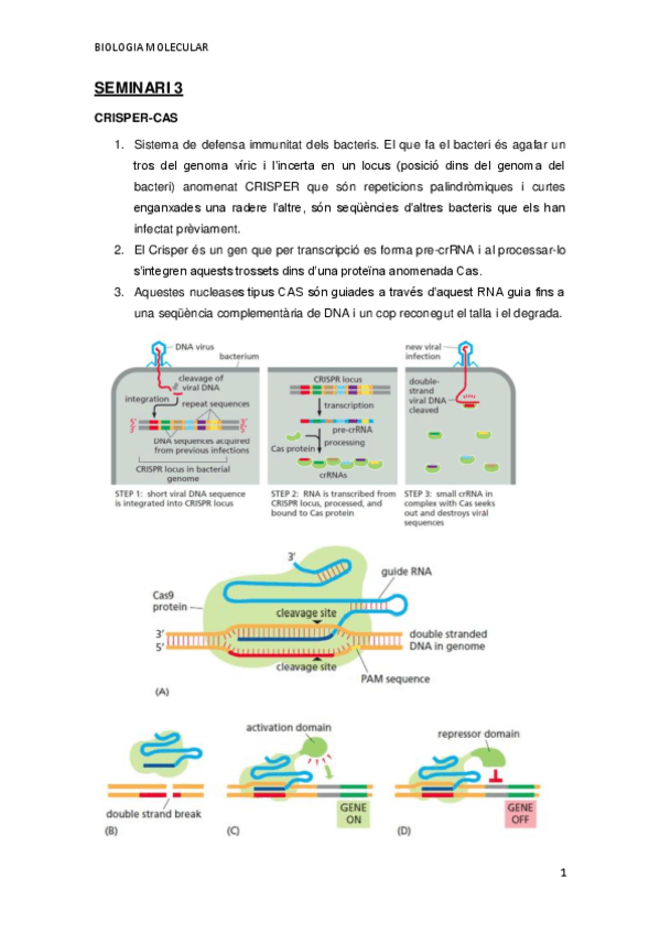 Miniatura del documento SEMINARI-3-CRISPER-CAS.pdf