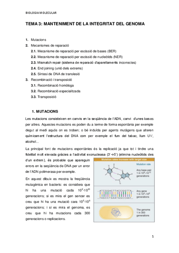 Miniatura del documento TEMA-3.pdf