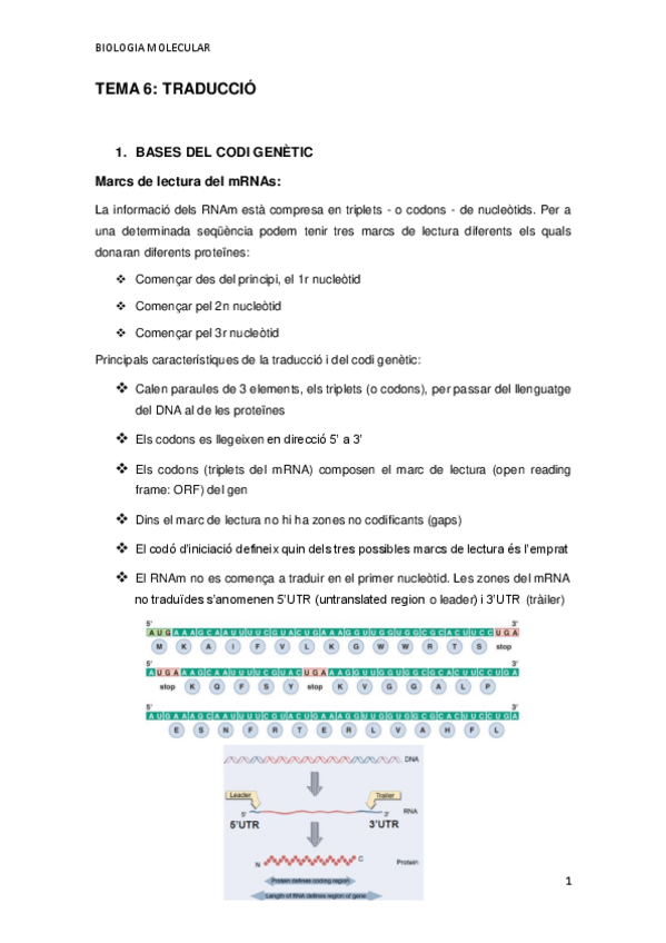 Miniatura del documento TEMA-6.pdf