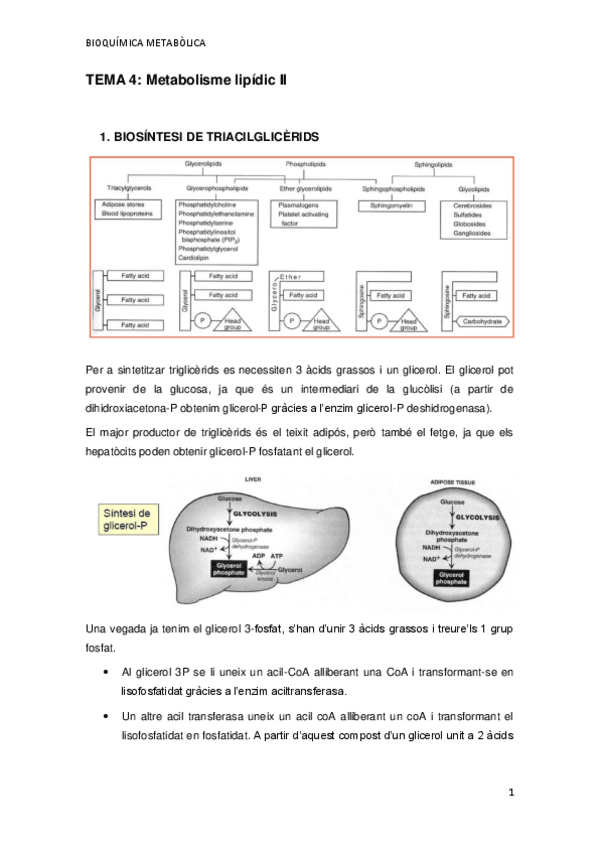 Miniatura del documento TEMA-4.pdf
