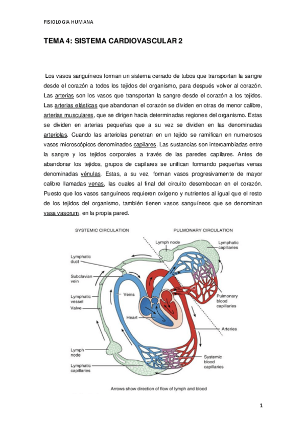 Miniatura del documento TEMA-4.pdf