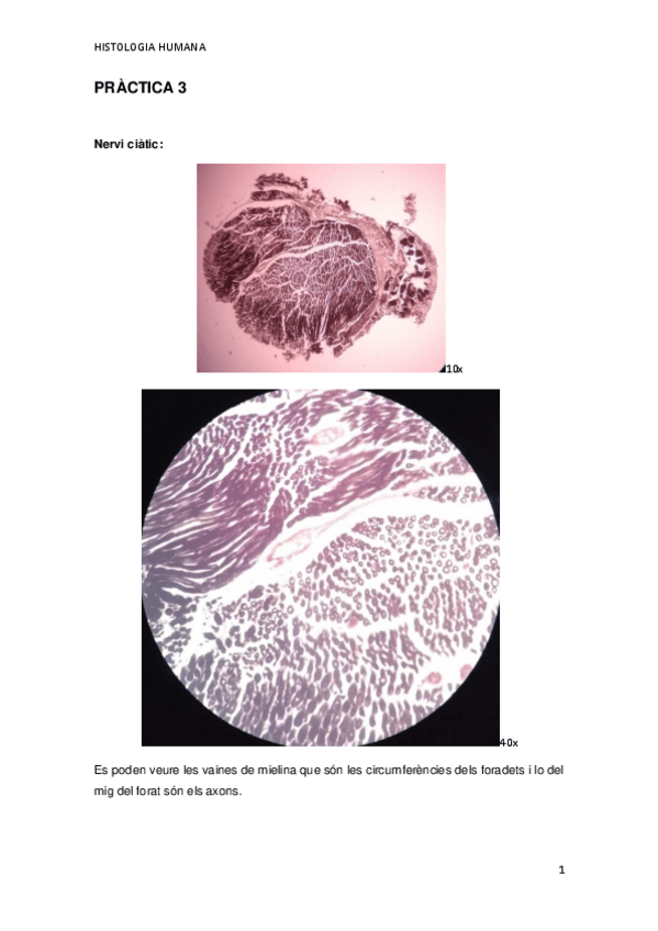 Miniatura del documento PRACTICA-3.pdf