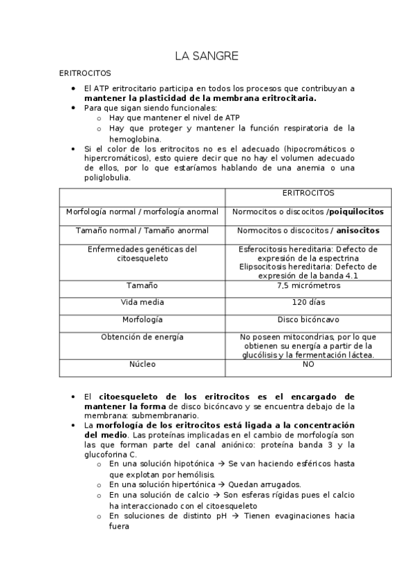 Miniatura del documento COSAS-IMPORTANTES-PARA-EL-EXAMEN.docx