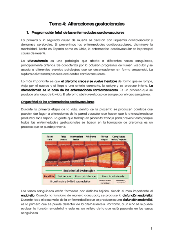 Miniatura del documento Tema-4-Alteraciones-gestacionales.pdf
