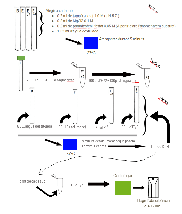 Miniatura del documento Pract1-esquema.png