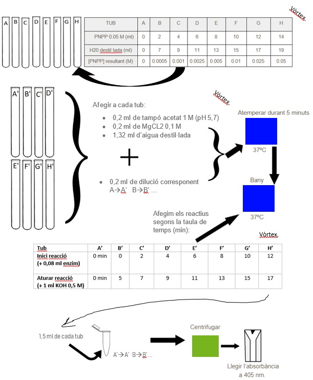 Miniatura del documento Practica-3a.jpg
