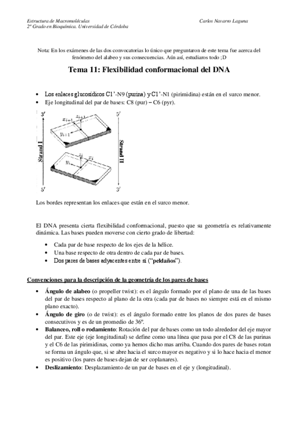 Miniatura del documento Tema-11-Estructura-dinamica-y-flexibilidad-conformacional-de-los-acidos-nucleicos.pdf