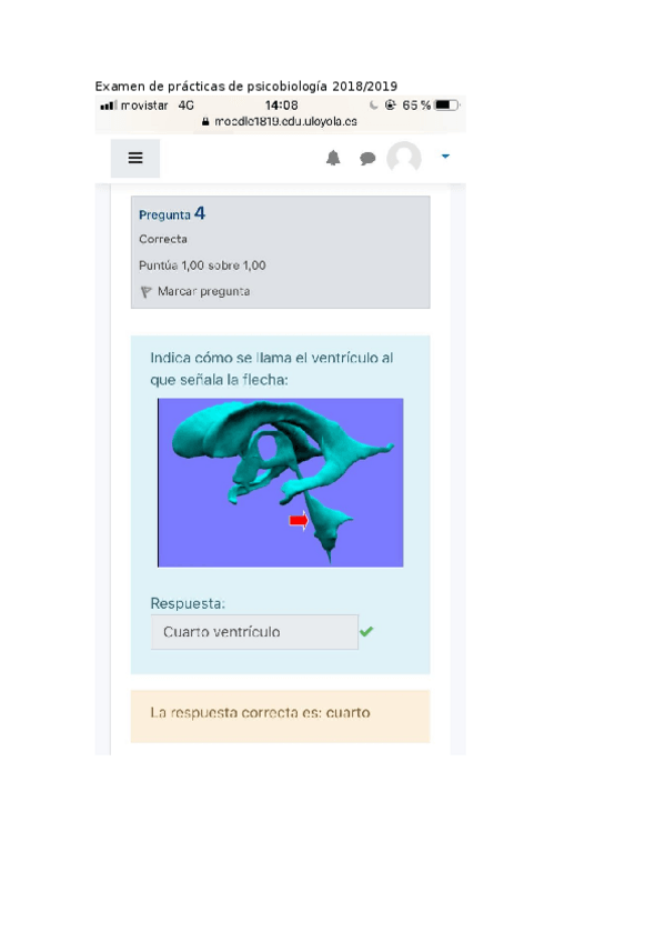 Miniatura del documento exam-practicas.docx