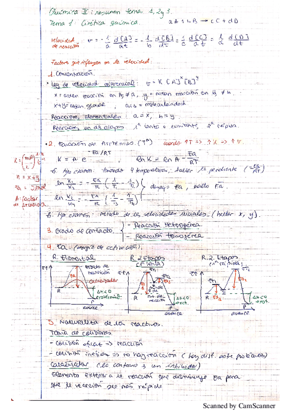 Miniatura del documento Quimica-II-primer-parcial.pdf