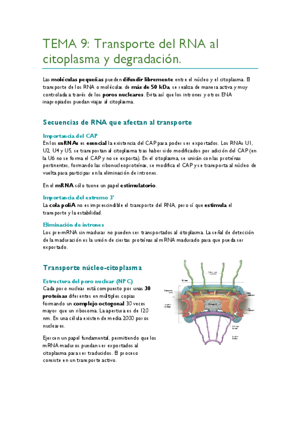 Miniatura del documento TEMA-9.pdf