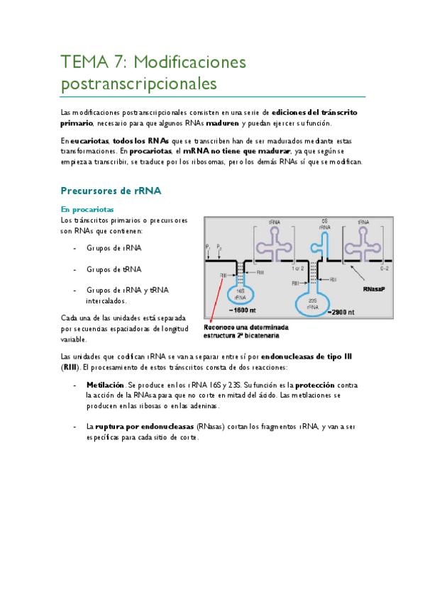 Miniatura del documento TEMA-7.pdf