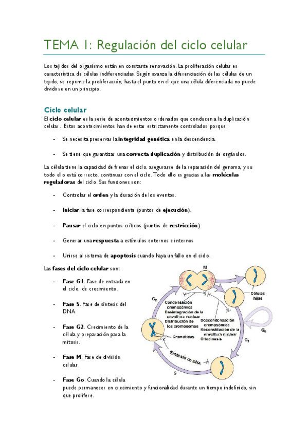 Miniatura del documento TEMA-1.pdf