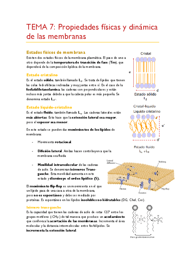 Miniatura del documento TEMA-7.pdf
