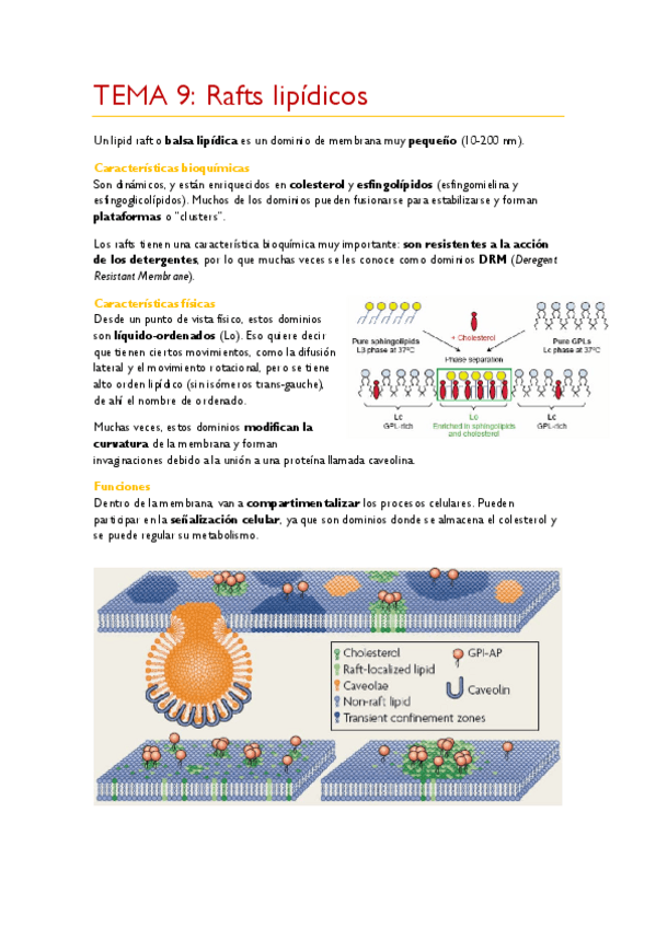 Miniatura del documento TEMA-9.pdf