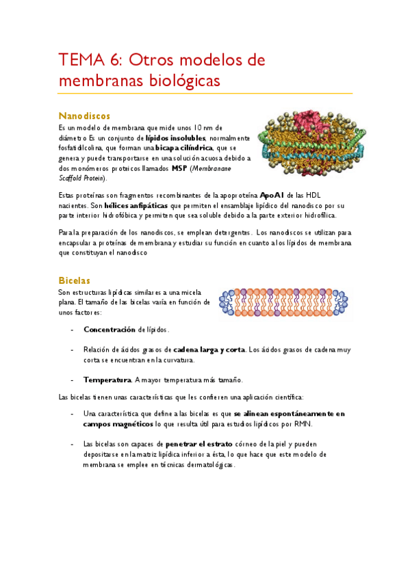 Miniatura del documento TEMA-6.pdf