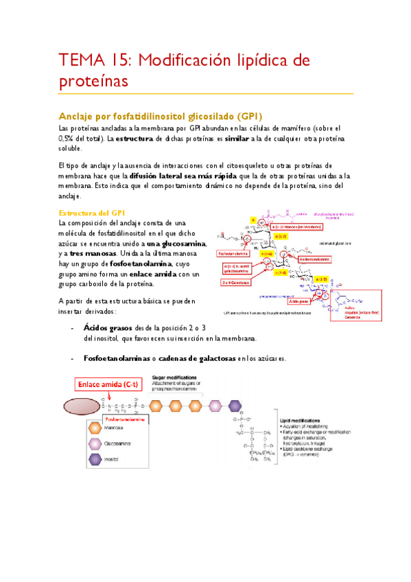 Miniatura del documento TEMA-15.pdf