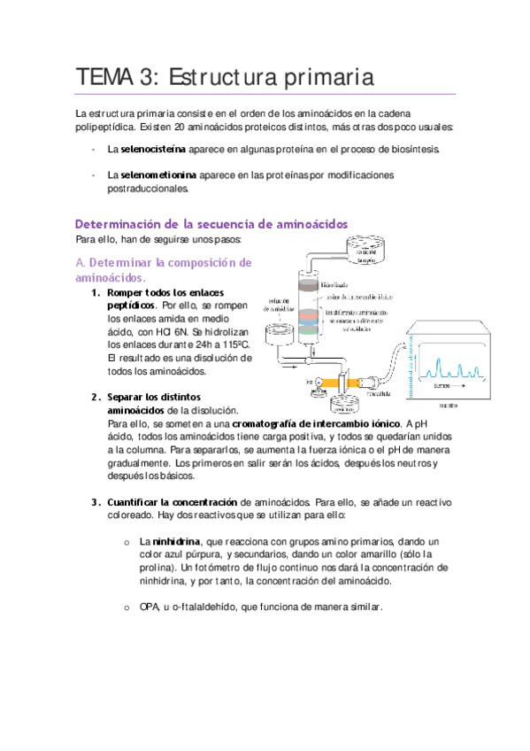 Miniatura del documento TEMA-3.pdf